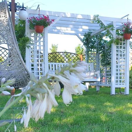 Confero Bed & Breakfast Ниса Екстериор снимка